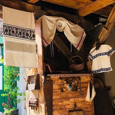 Country house 175 Saschiz